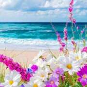 ヒメ日記 2026/03/05 19:13 投稿 あおい アイムシェイク