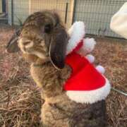 ヒメ日記 2024/12/10 09:24 投稿 亜美 東京人妻フォーシーズンズ