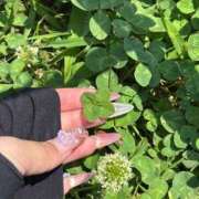 ヒメ日記 2025/07/10 00:20 投稿 りあ しごくなエステ