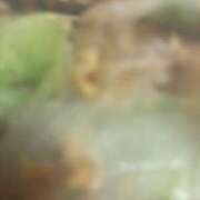 ヒメ日記 2025/07/11 22:10 投稿 りあ しごくなエステ