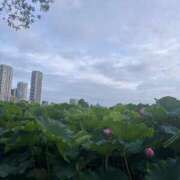 ヒメ日記 2025/07/19 22:20 投稿 りあ しごくなエステ