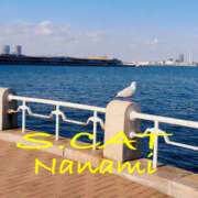 ヒメ日記 2025/01/22 12:00 投稿 涼宮ななみ セクシーキャット 神田店