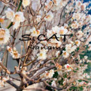 ヒメ日記 2025/02/26 17:36 投稿 涼宮ななみ セクシーキャット 神田店