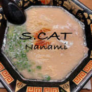 ヒメ日記 2025/03/18 11:00 投稿 涼宮ななみ セクシーキャット 神田店