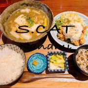 ヒメ日記 2025/03/21 17:29 投稿 涼宮ななみ セクシーキャット 神田店