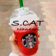 ヒメ日記 2025/06/04 13:00 投稿 涼宮ななみ セクシーキャット 神田店