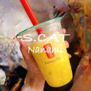 ヒメ日記 2025/06/06 10:00 投稿 涼宮ななみ セクシーキャット 神田店