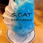 ヒメ日記 2025/06/23 12:00 投稿 涼宮ななみ セクシーキャット 神田店