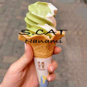 ヒメ日記 2025/08/26 11:00 投稿 涼宮ななみ セクシーキャット 神田店