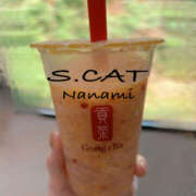 ヒメ日記 2025/08/29 15:00 投稿 涼宮ななみ セクシーキャット 神田店