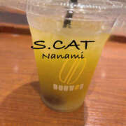 ヒメ日記 2025/10/27 17:00 投稿 涼宮ななみ セクシーキャット 神田店