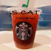 ヒメ日記 2025/10/30 11:00 投稿 涼宮ななみ セクシーキャット 神田店