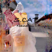 ヒメ日記 2025/11/14 13:00 投稿 涼宮ななみ セクシーキャット 神田店