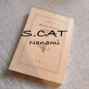 ヒメ日記 2025/12/09 11:00 投稿 涼宮ななみ セクシーキャット 神田店