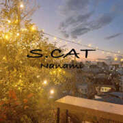 ヒメ日記 2025/12/21 10:00 投稿 涼宮ななみ セクシーキャット 神田店