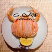 ヒメ日記 2025/12/23 15:00 投稿 涼宮ななみ セクシーキャット 神田店