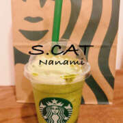 ヒメ日記 2026/01/16 10:00 投稿 涼宮ななみ セクシーキャット 神田店