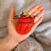 ヒメ日記 2026/02/02 12:00 投稿 涼宮ななみ セクシーキャット 神田店