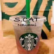 ヒメ日記 2026/03/09 11:00 投稿 涼宮ななみ セクシーキャット 神田店