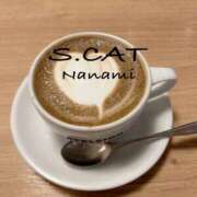 ヒメ日記 2026/03/18 15:00 投稿 涼宮ななみ セクシーキャット 神田店