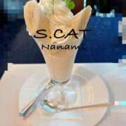 ヒメ日記 2026/04/01 12:00 投稿 涼宮ななみ セクシーキャット 神田店