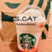 ヒメ日記 2026/04/03 15:00 投稿 涼宮ななみ セクシーキャット 神田店