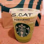 ヒメ日記 2026/04/06 11:00 投稿 涼宮ななみ セクシーキャット 神田店