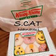 涼宮ななみ 進 セクシーキャット 神田店