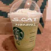 涼宮ななみ 漠 セクシーキャット 神田店