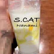 ヒメ日記 2026/06/12 13:00 投稿 涼宮ななみ セクシーキャット 神田店