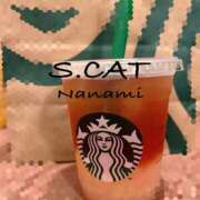 ヒメ日記 2026/06/30 11:00 投稿 涼宮ななみ セクシーキャット 神田店