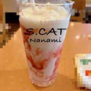 ヒメ日記 2026/07/06 11:00 投稿 涼宮ななみ セクシーキャット 神田店