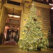 ヒメ日記 2024/12/17 00:40 投稿 こう 奥鉄オクテツ東京店（デリヘル市場）