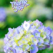 ヒメ日記 2025/05/20 16:20 投稿 こう 奥鉄オクテツ東京店（デリヘル市場）