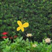 こう 久しぶりの日記 奥鉄オクテツ東京店（デリヘル市場）