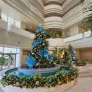 ヒメ日記 2025/12/13 07:30 投稿 こう 奥鉄オクテツ東京店（デリヘル市場）