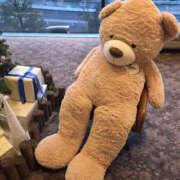 ヒメ日記 2025/12/19 14:55 投稿 こう 奥鉄オクテツ東京店（デリヘル市場）