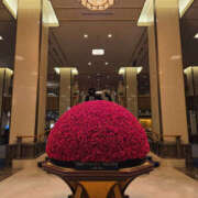 ヒメ日記 2026/02/16 14:35 投稿 こう 奥鉄オクテツ東京店（デリヘル市場）