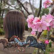 ヒメ日記 2026/03/23 10:25 投稿 こう 奥鉄オクテツ東京店（デリヘル市場）