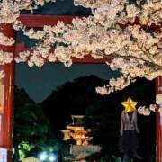 ヒメ日記 2026/03/25 19:30 投稿 こう 奥鉄オクテツ東京店（デリヘル市場）