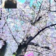 ヒメ日記 2026/03/31 10:10 投稿 こう 奥鉄オクテツ東京店（デリヘル市場）