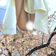 ヒメ日記 2026/04/01 17:00 投稿 こう 奥鉄オクテツ東京店（デリヘル市場）