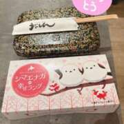 ヒメ日記 2025/04/20 19:35 投稿 はるな 帯広アニバーサリー