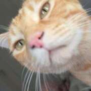 ヒメ日記 2025/06/29 17:54 投稿 潤 LEXE ～レグゼ～