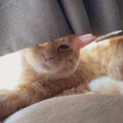 ヒメ日記 2025/10/24 14:18 投稿 潤 LEXE ～レグゼ～