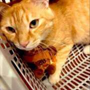 ヒメ日記 2026/01/23 15:33 投稿 潤 LEXE ～レグゼ～