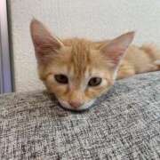 ヒメ日記 2026/02/20 11:03 投稿 潤 LEXE ～レグゼ～