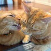 ヒメ日記 2026/02/22 15:42 投稿 潤 LEXE ～レグゼ～