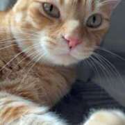 ヒメ日記 2026/03/23 18:03 投稿 潤 LEXE ～レグゼ～