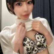 らび おやすみなさい💤 帯広アニバーサリー